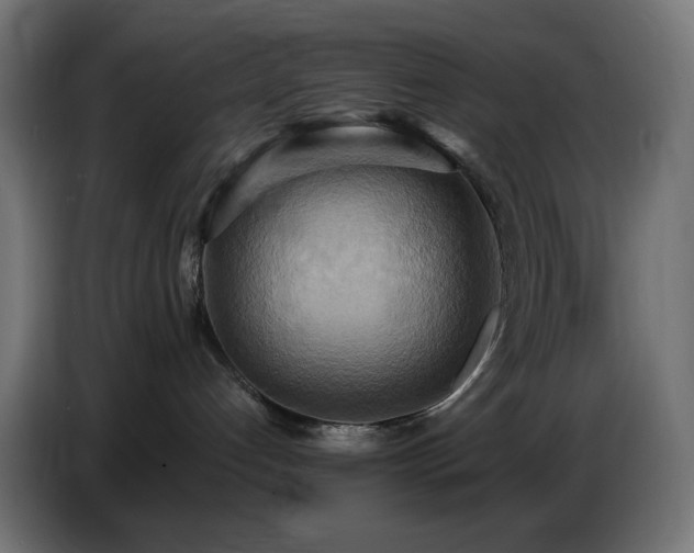 X0000086750192200704131159