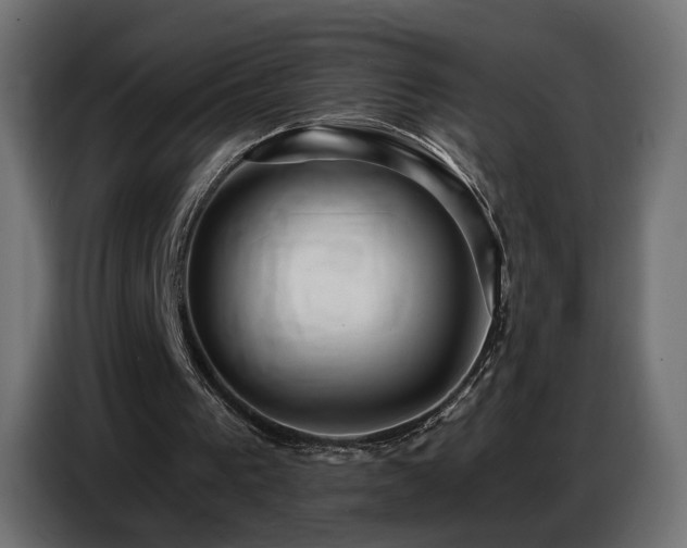 X0000086750193200704131158