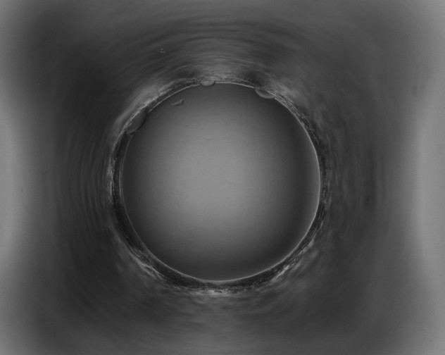 X0000086750194200704131158