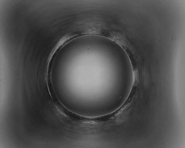 X0000086750195200704131158