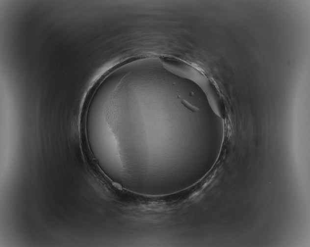 X0000086750196200704131158
