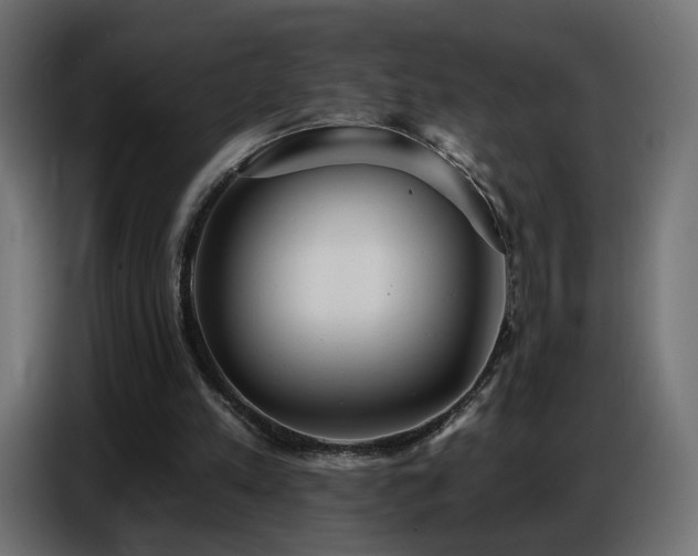 X0000086750197200704131158