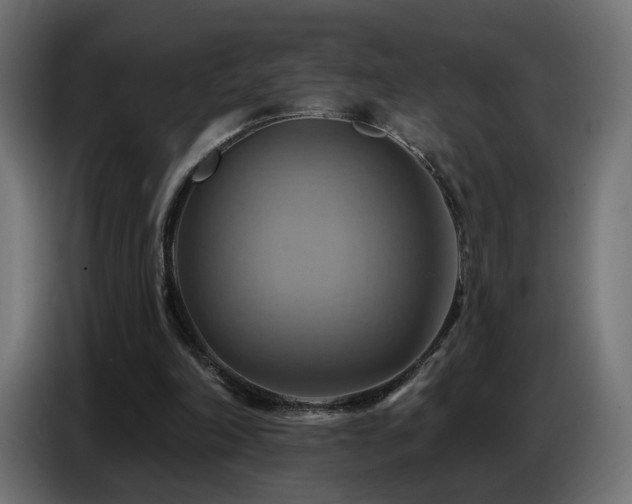 X0000086750198200704131158