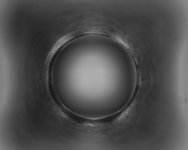 X0000086750199200704131158