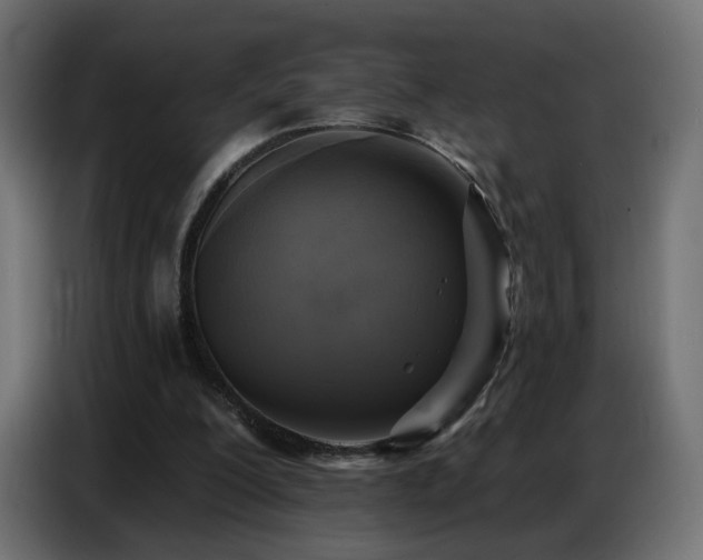 X0000086750200200704131158