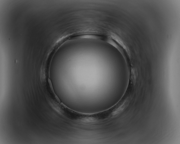 X0000086750203200704131158