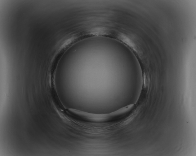 X0000086750205200704131158