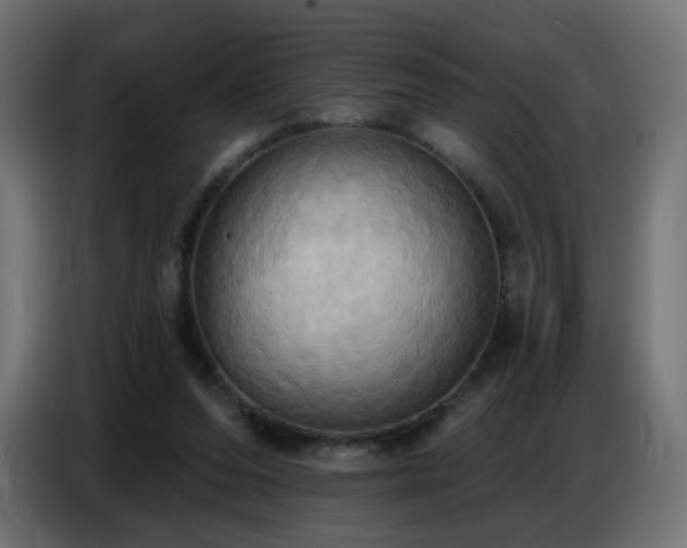 X0000086750208200704131158