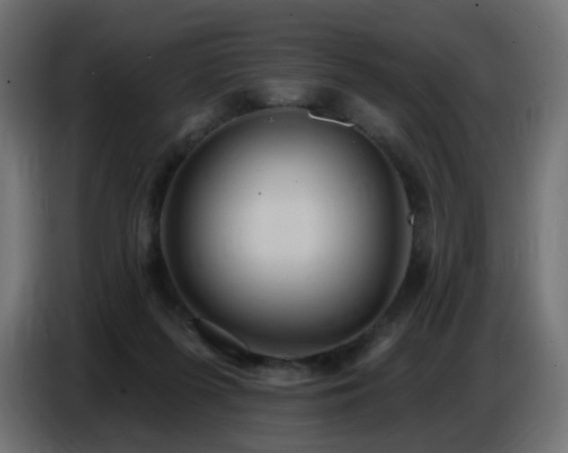 X0000086750215200704131158