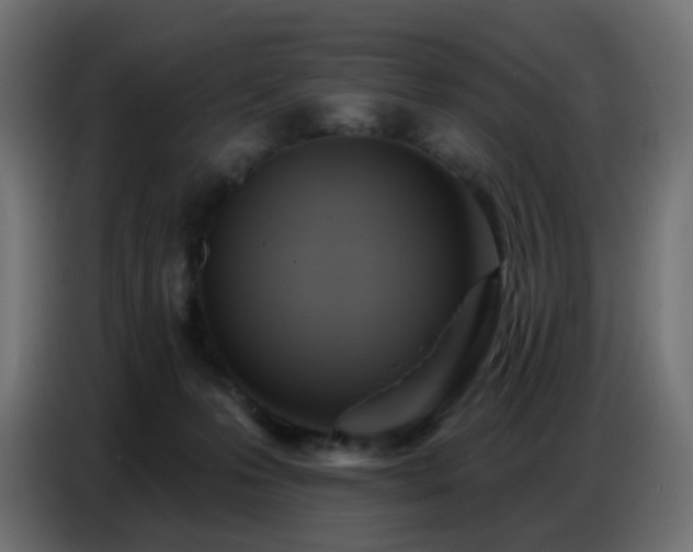 X0000086750223200704131158