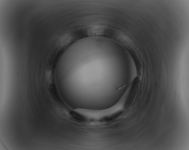 X0000086750224200704131158