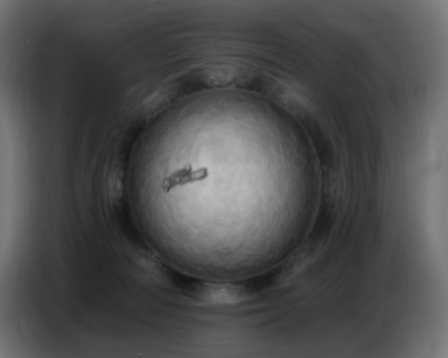X0000086750226200704131158
