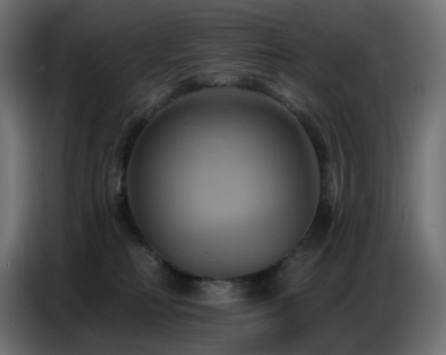 X0000086750230200704131158