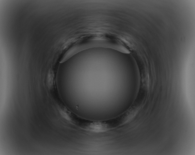 X0000086750231200704131158