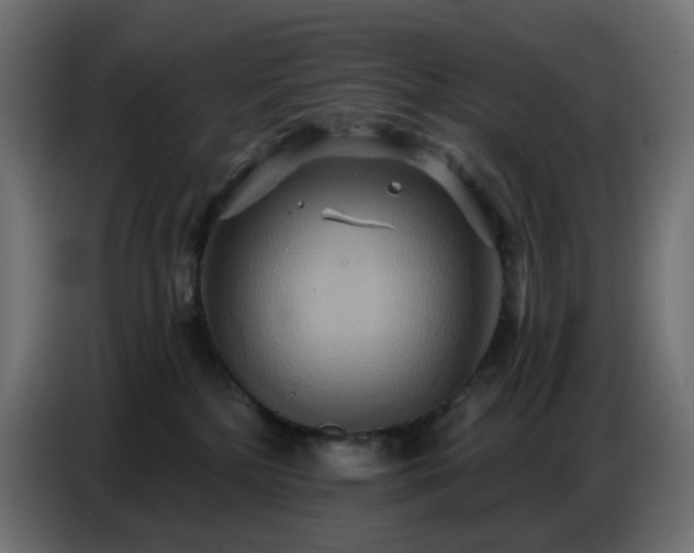 X0000086750232200704131158