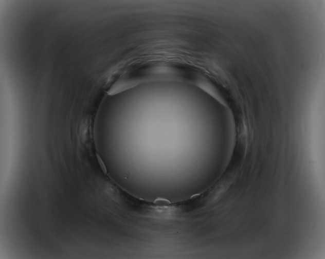 X0000086750233200704131158