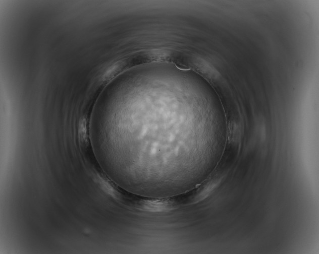 X0000086750238200704131158