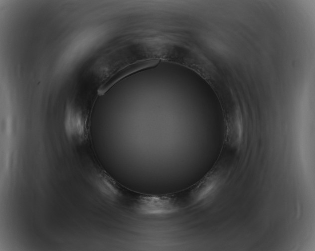 X0000086750239200704131158