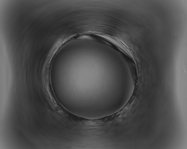 X0000086750241200704131157
