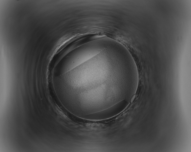 X0000086750242200704131157