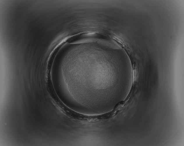 X0000086750243200704131157