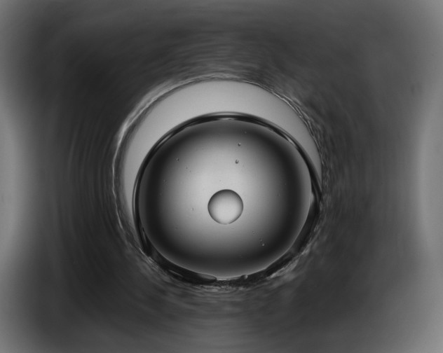 X0000086750244200704131157
