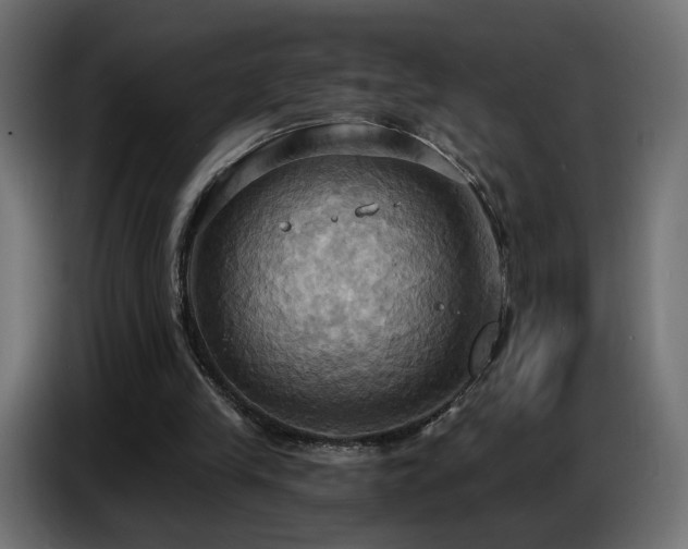 X0000086750245200704131157