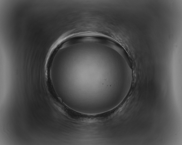 X0000086750246200704131157