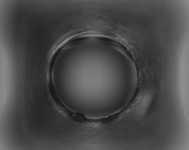 X0000086750247200704131157