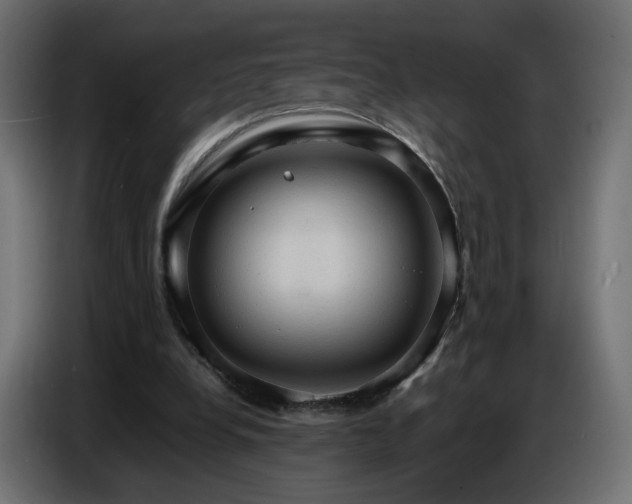 X0000086750248200704131157