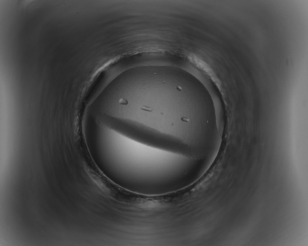 X0000086750249200704131157