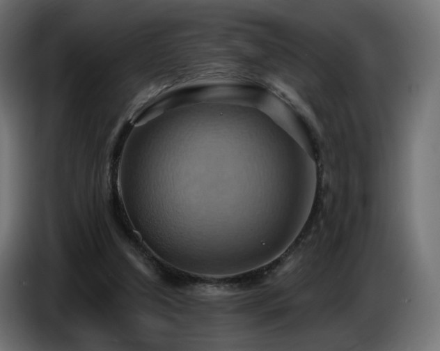 X0000086750250200704131157