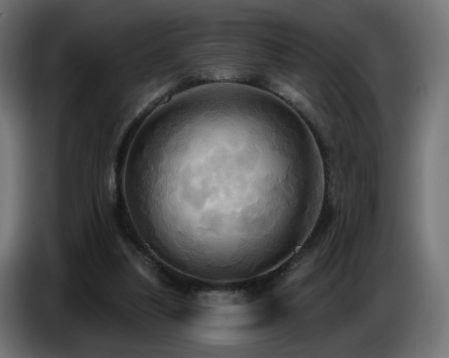 X0000086750251200704131157