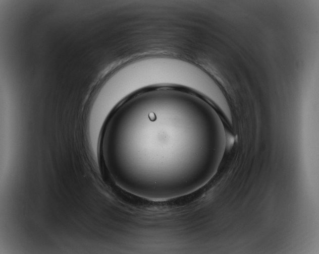 X0000086750252200704131157