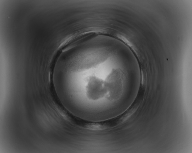 X0000086750253200704131157