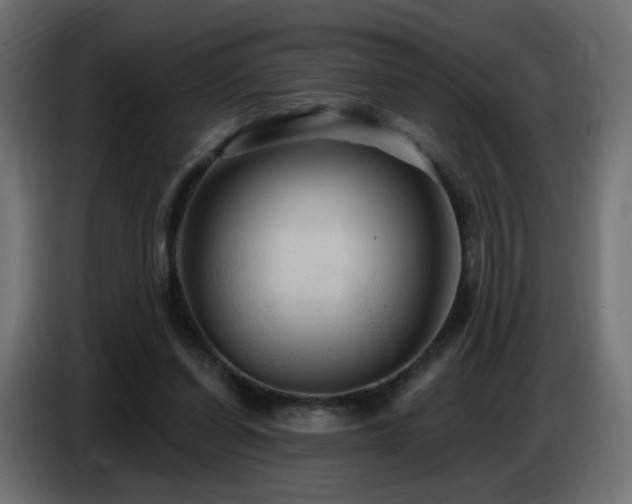 X0000086750254200704131157