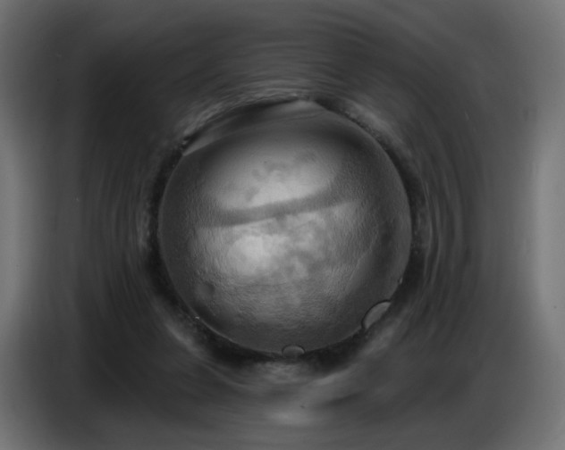 X0000086750255200704131157