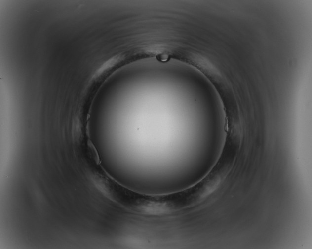 X0000086750256200704131157