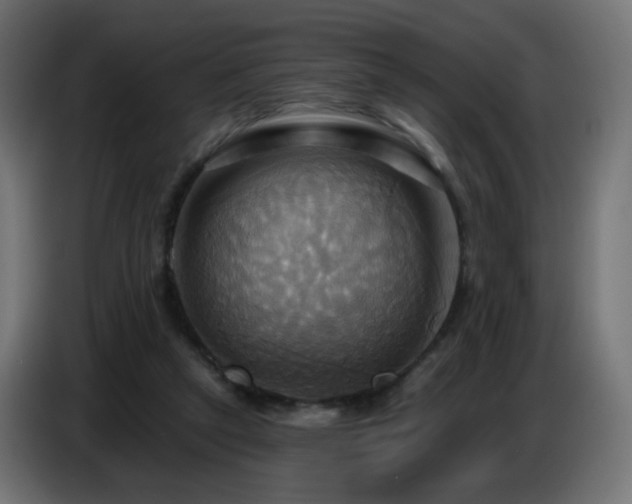 X0000086750257200704131157