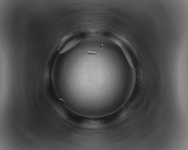 X0000086750260200704131157