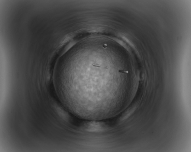 X0000086750261200704131157
