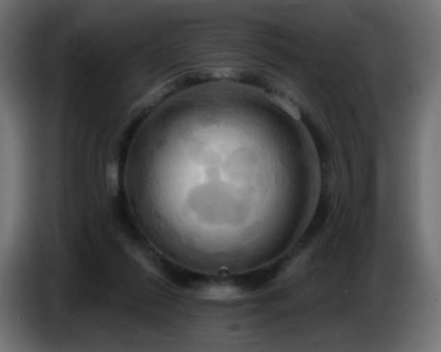 X0000086750262200704131157