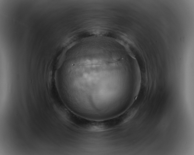 X0000086750263200704131157
