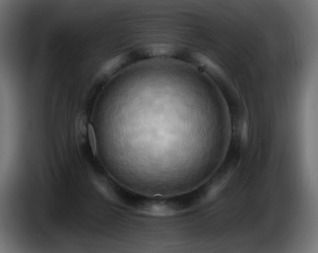 X0000086750264200704131157