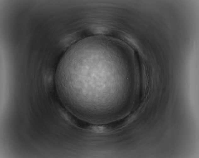 X0000086750265200704131157