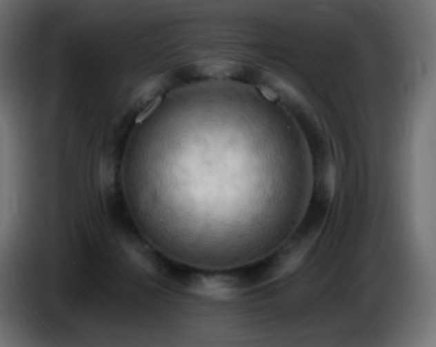 X0000086750268200704131157