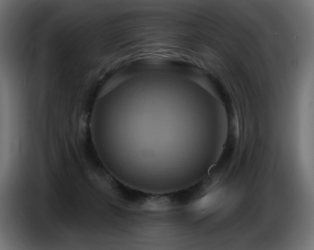 X0000086750271200704131157
