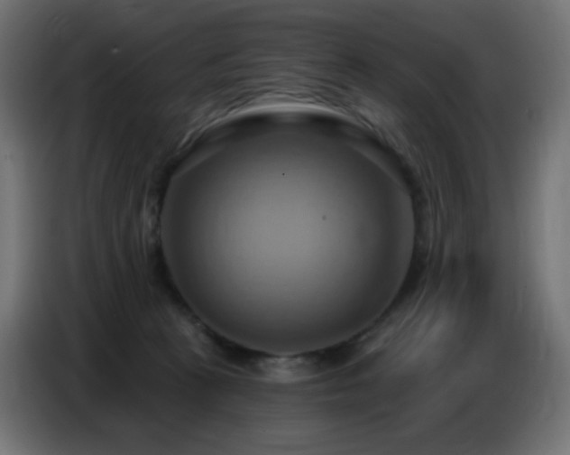X0000086750273200704131157