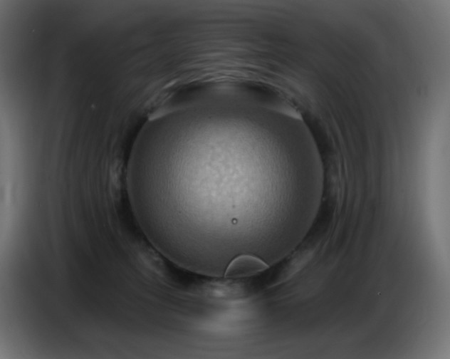 X0000086750275200704131157