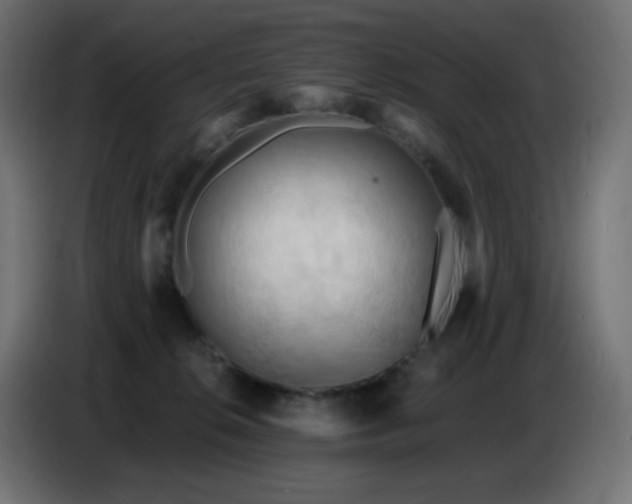 X0000086750276200704131157